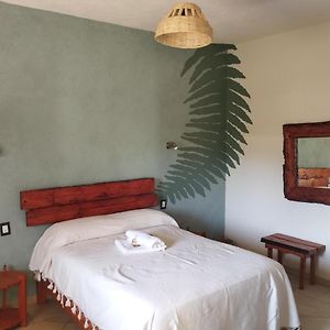 Habitación con Cama Queen